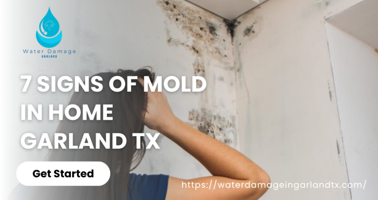 Signs of Mold in Home Garland TX