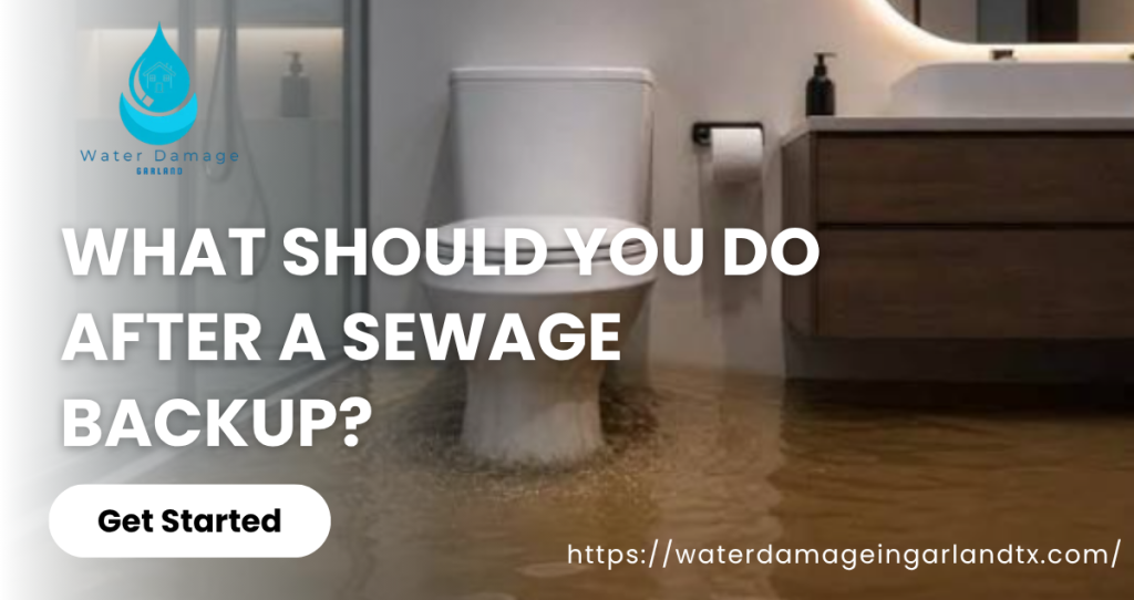 What Should You Do After a Sewage Backup?