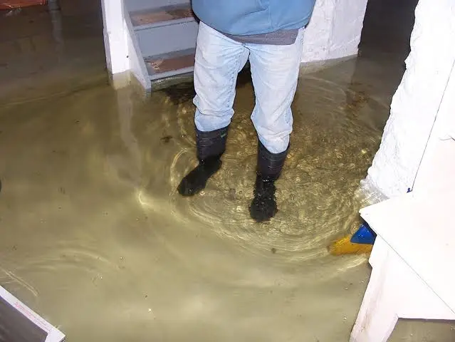 a view of sewage backup cleanup in garland home