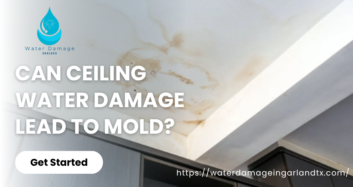 Can Ceiling Water Damage Lead to Mold?
